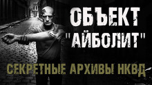 Секретные архивы НКВД. Объект "Айболит" - Максим Никитин