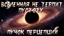 Вселенная не терпит пустоту - Пучок Перцепций