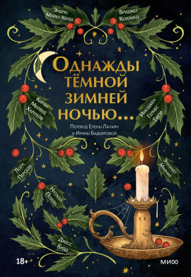 Однажды тёмной зимней ночью… -                   Элизабет Макнил