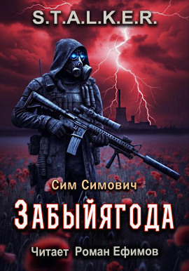 S.T.A.L.K.E.R. Забыйягода -                   Сим Симович
