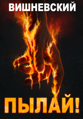 Холодное пламя: Пылай! - Сергей Вишневский